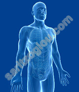 μετεγχειρητική κήλη