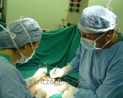 Για την εκτέλεση της λαπαροσκοπικής χολοκυστεκτομής, αρχικά γίνεται μια μικρή τομή μεγέθους περίπου 1,5 με 2 εκατοστά στο σημείο του ομφαλού. Από εκεί θα εισέλθει το πρώτο τροκάρ, στην κοιλιά του ασθενούς.
